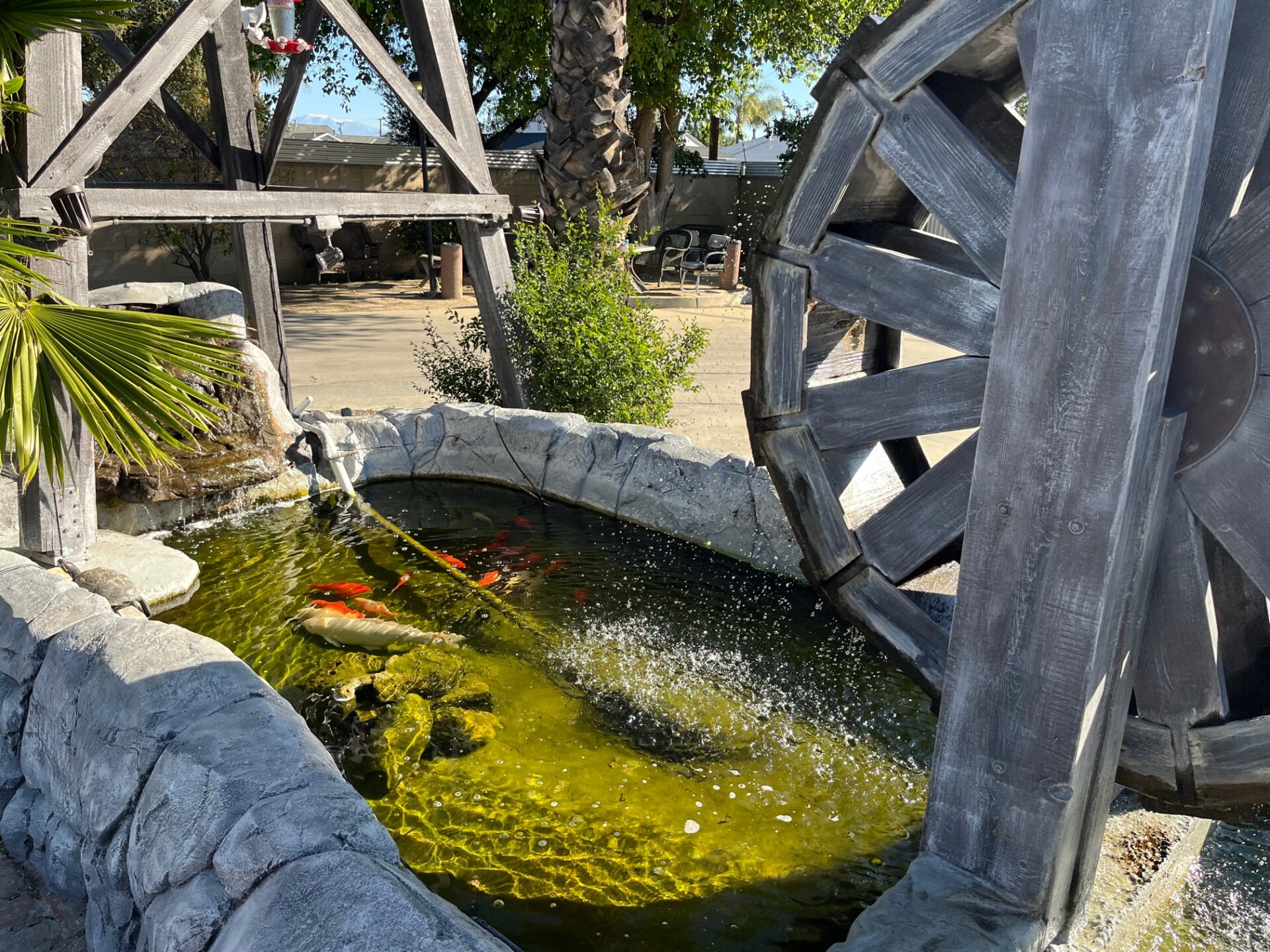 A pond with water wheels and fish in it